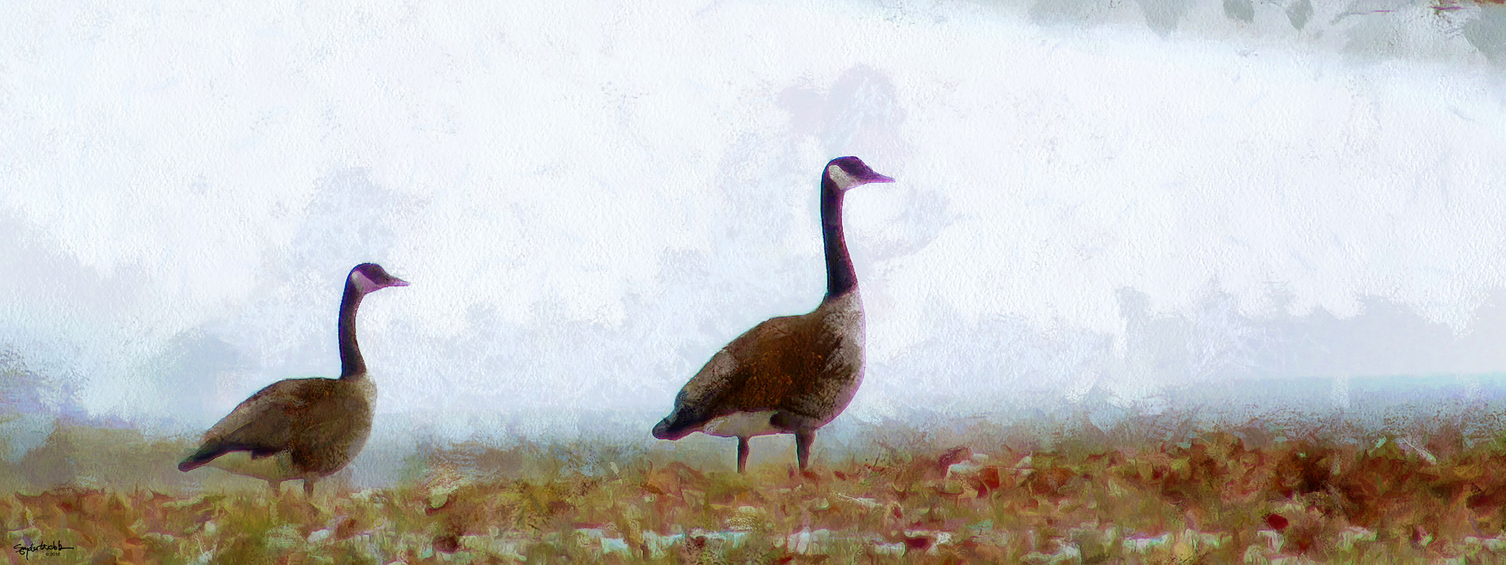 Mr. &amp; Mrs FAA Small