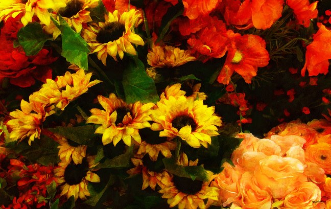 Xtreme Floral 22 FAA