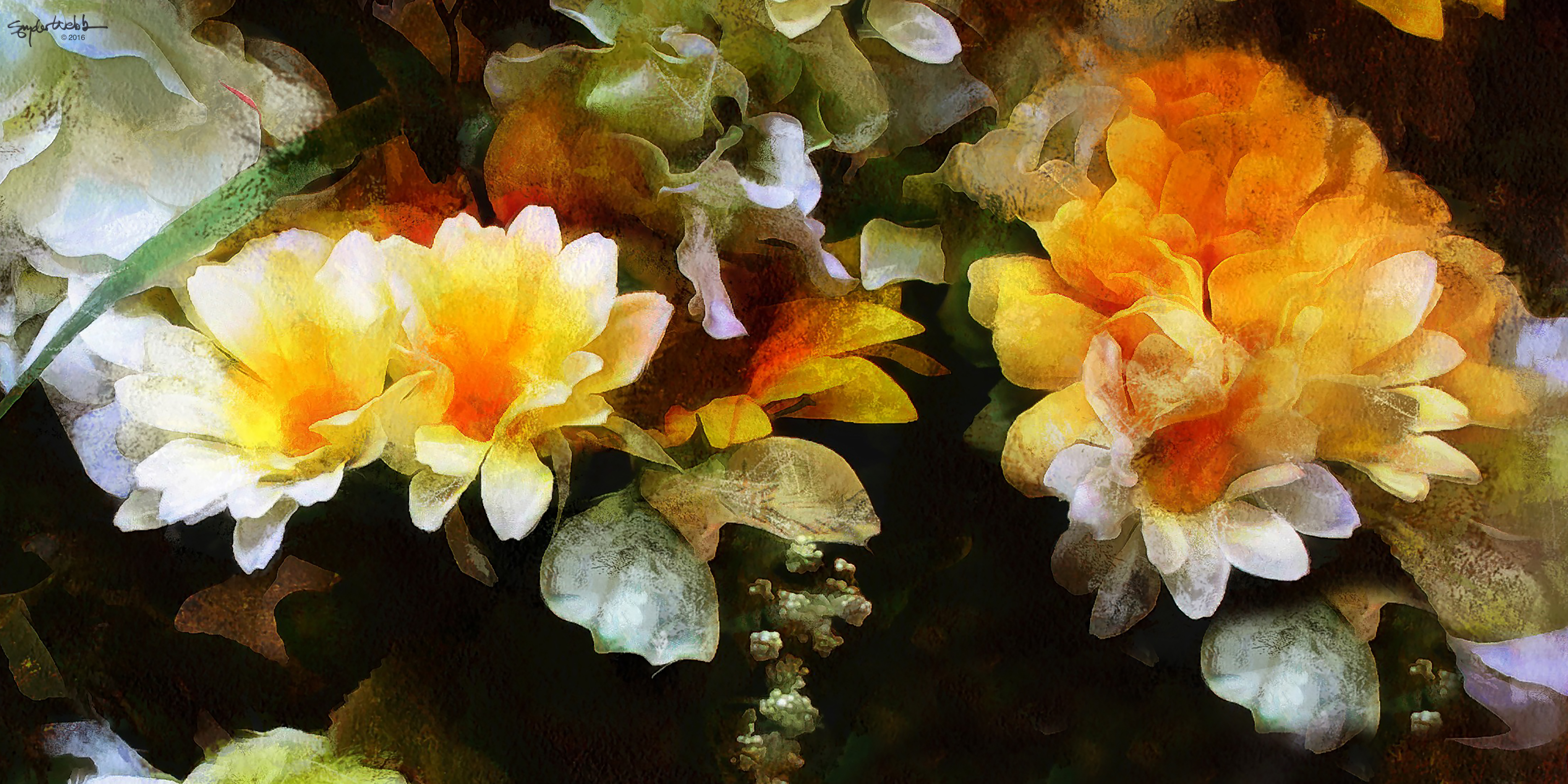 Gently in the Morning FAA