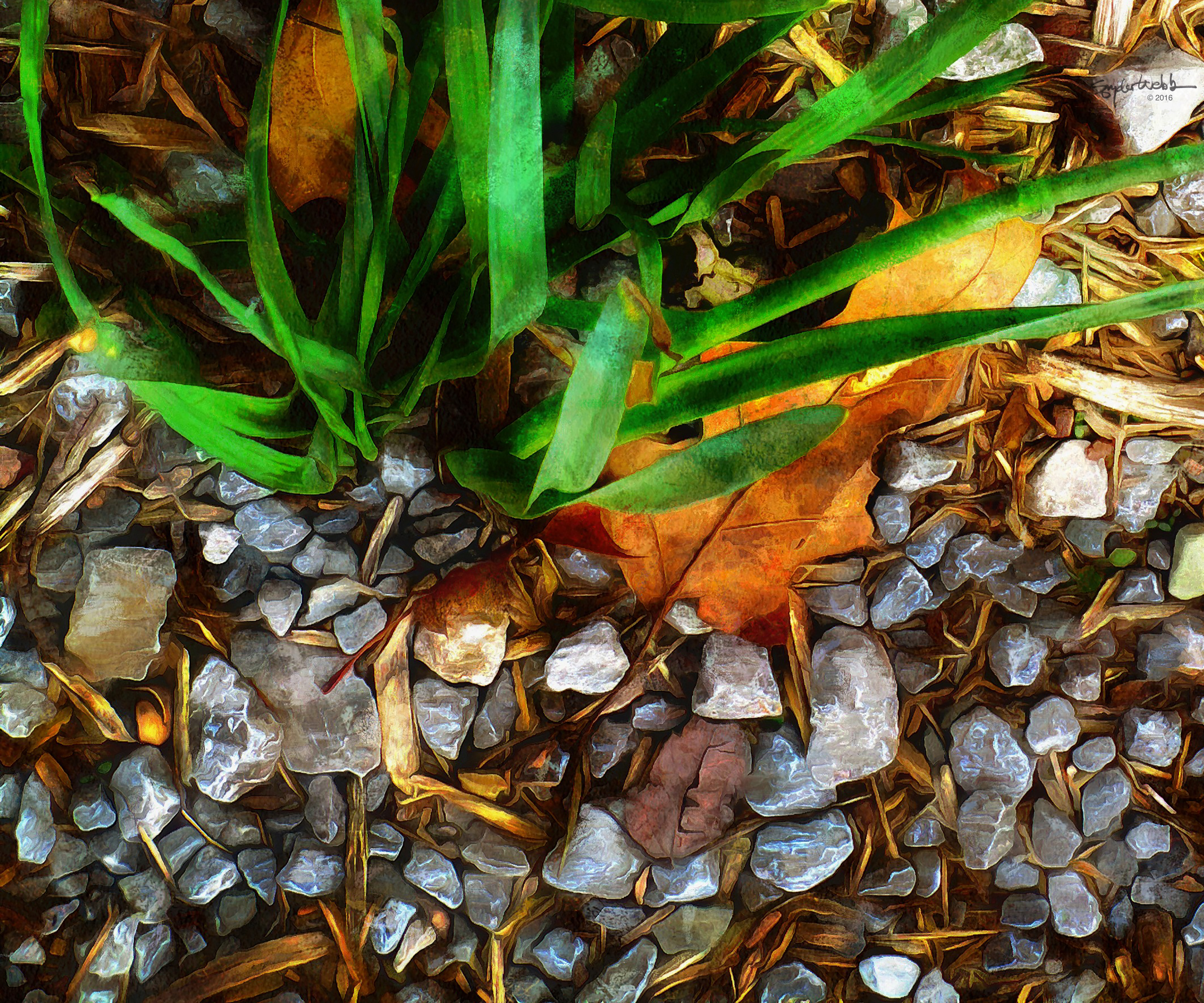 Last Fall This Spring and Always FAA