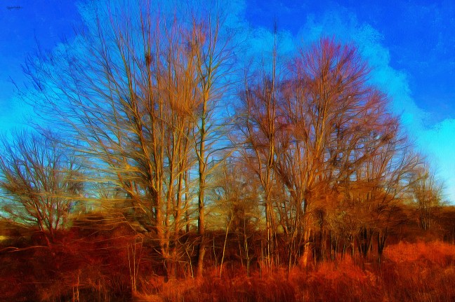 Red Earth Blue Sky FAA