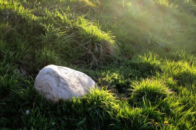 Hard Rock, Soft Grass FAA